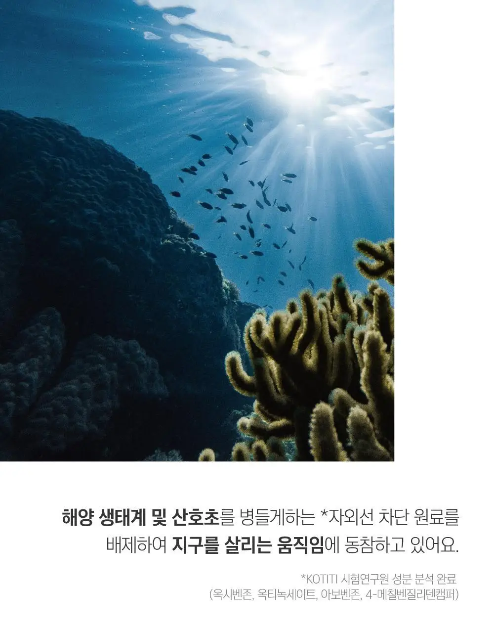 [NEW/깃털보송] 라운드랩 소나무 진정 시카 에어리 선스틱 19g 더블 기획 상세페이지 21